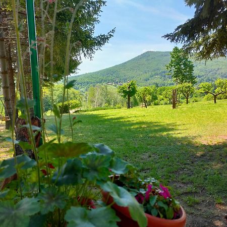 Vila Jezerski Raj Borsko Jezero Εξωτερικό φωτογραφία