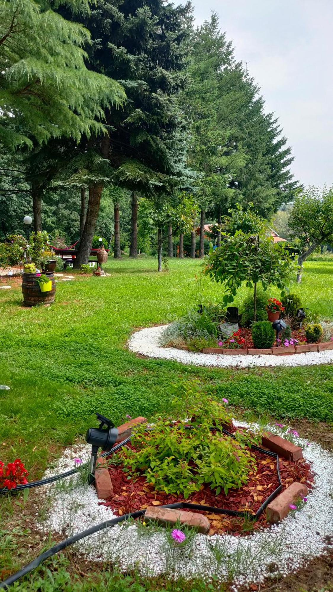 Vila Jezerski Raj Borsko Jezero Εξωτερικό φωτογραφία